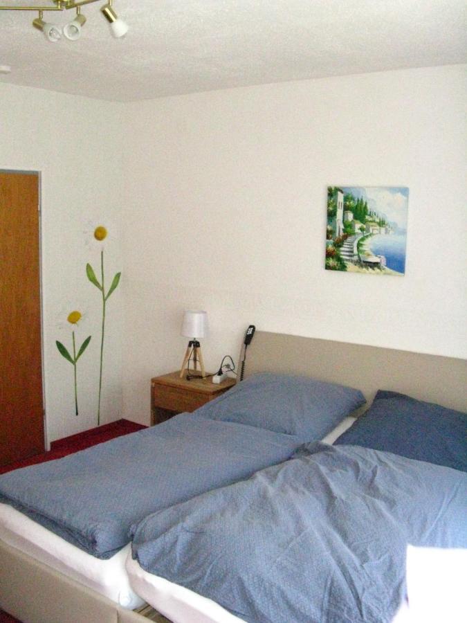 Bio-Hotel Zum Forsthaus ألتيناو المظهر الخارجي الصورة