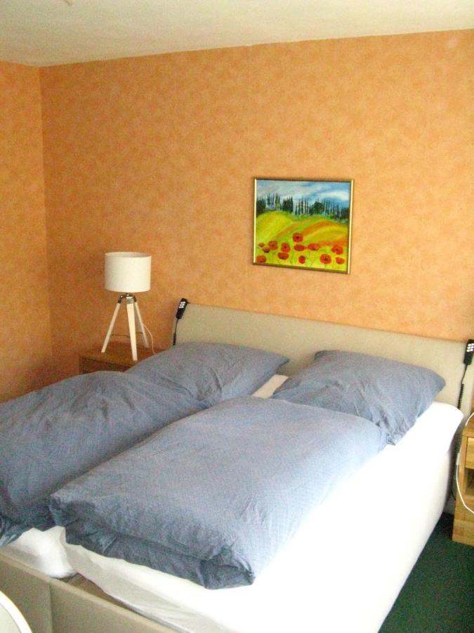 Bio-Hotel Zum Forsthaus ألتيناو المظهر الخارجي الصورة
